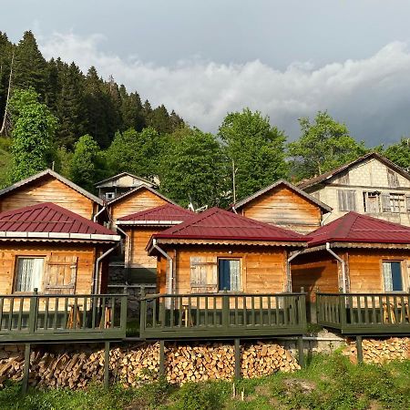 Pilita Bungalov&Rest Ayder Yaylasi Ngoại thất bức ảnh
